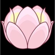 净先生头像